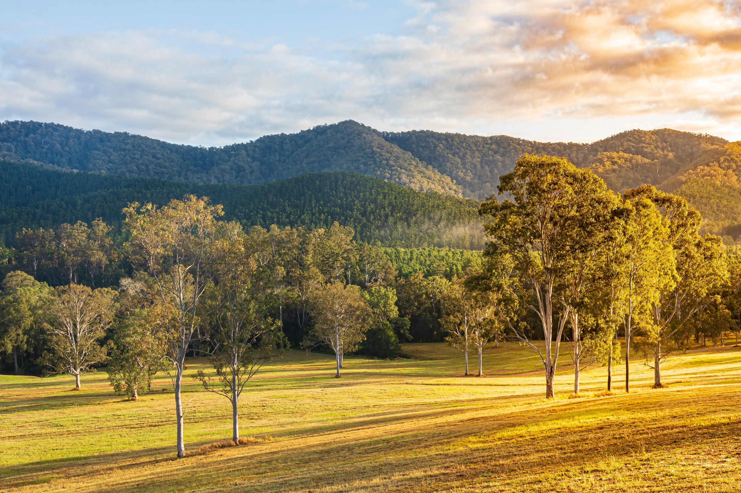 L’Organic Australia Wellness Resort Co-Investment - Safere